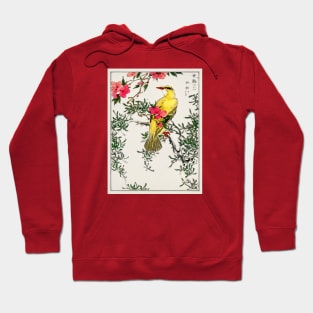 Chinese Bush-warbler and Drooping Peach old Japanese woodblock print Hoodie